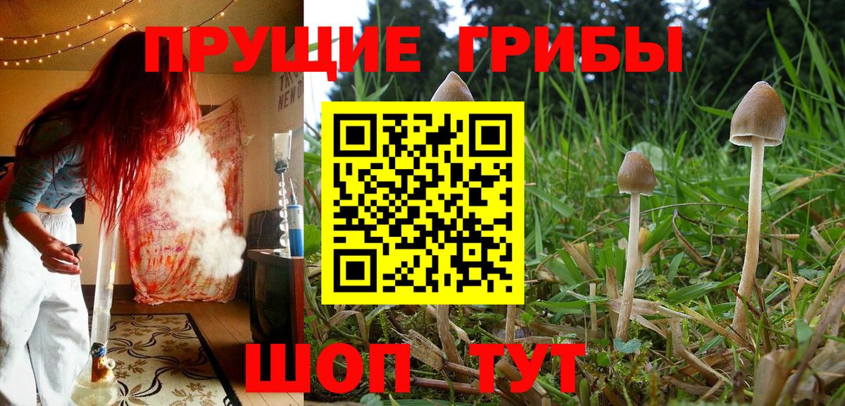 Белгород  где можно купить   Вход с VPN  Псилоцибиновые грибы ЛСД 
